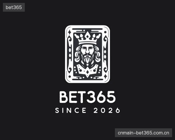 解读bet365团队